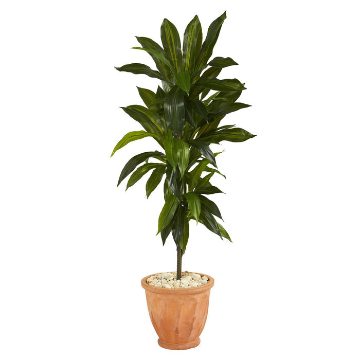 4’ Dracaena Artificial Plant in Terra-Cotta Planter (Real Touch)