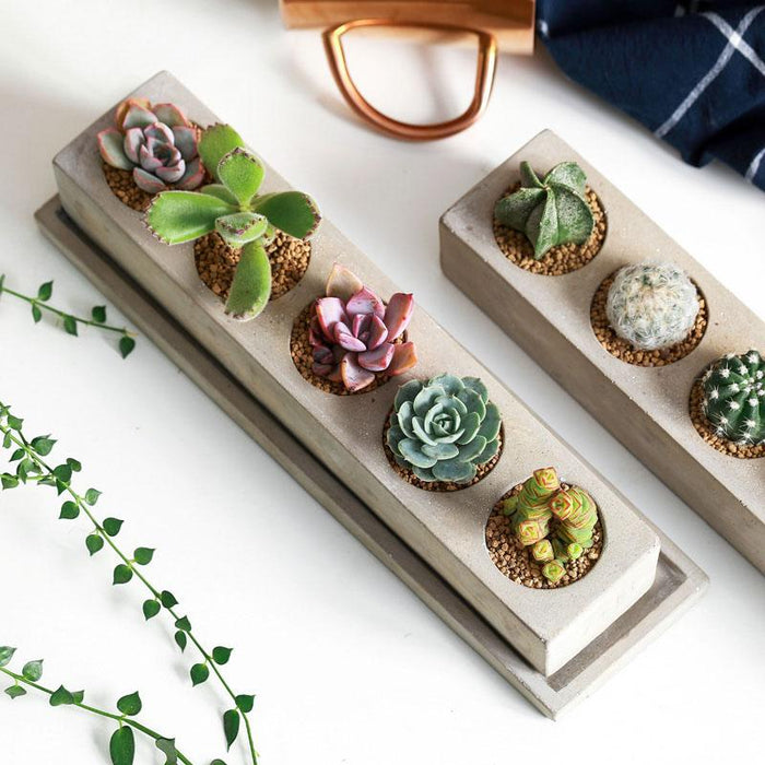 '5 flower pot silicone mold - madmolds -