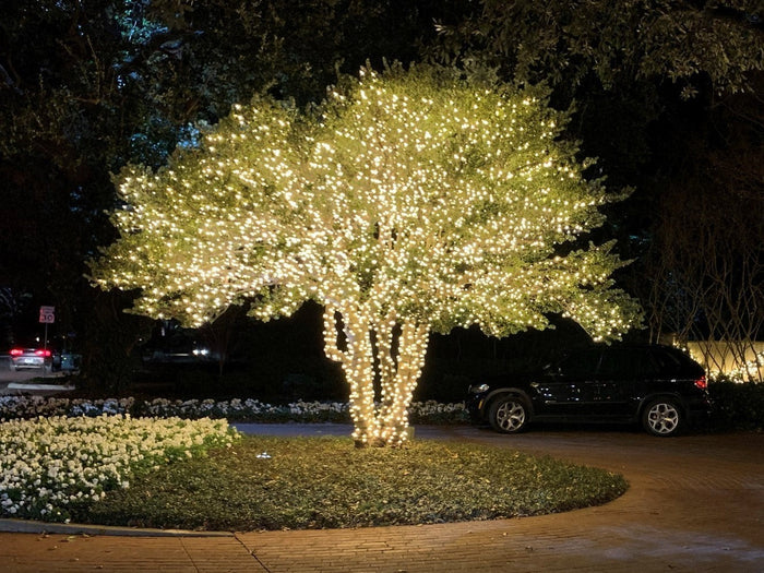 Certified Lights 50L 5MM LED twinkle mini lights, 150' long, 4" spacing, warm white, commercial grade, shatterproof, water-resistant for indoor/outdoor use.