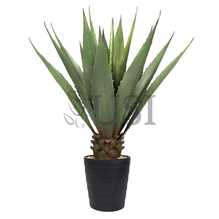Agave Succulent Plant x19 Leaves Potted, 38in, Green