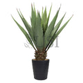 Agave Succulent Plant x19 Leaves Potted, 38in, Green