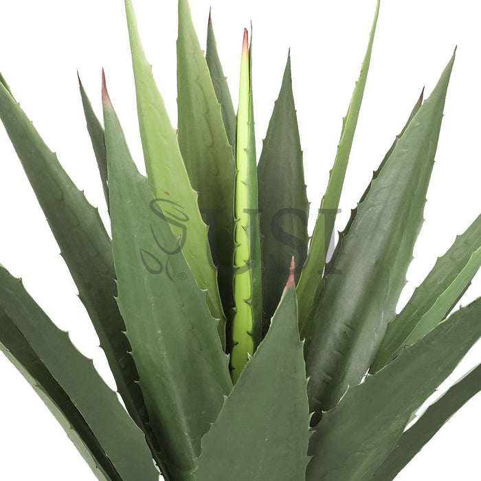 Agave Succulent Plant x19 Leaves Potted, 38in, Green