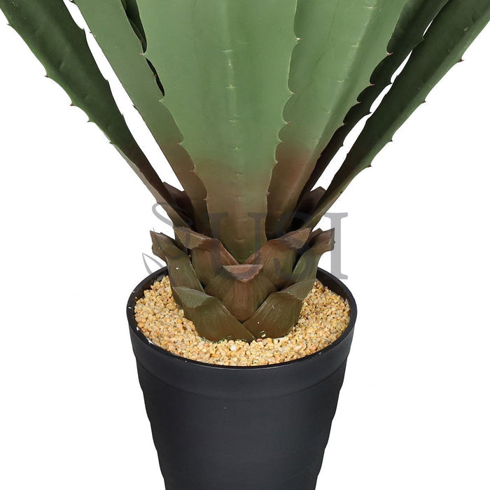 Agave Succulent Plant x19 Leaves Potted, 38in, Green