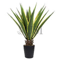 Agave Succulent Plant x19 Leaves Potted, 38in, Yellow Green