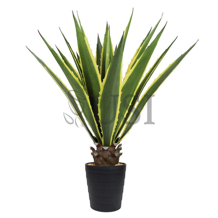Agave Succulent Plant x19 Leaves Potted, 38in, Yellow Green