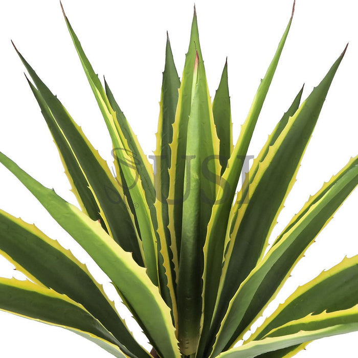 Agave Succulent Plant x19 Leaves Potted, 38in, Yellow Green
