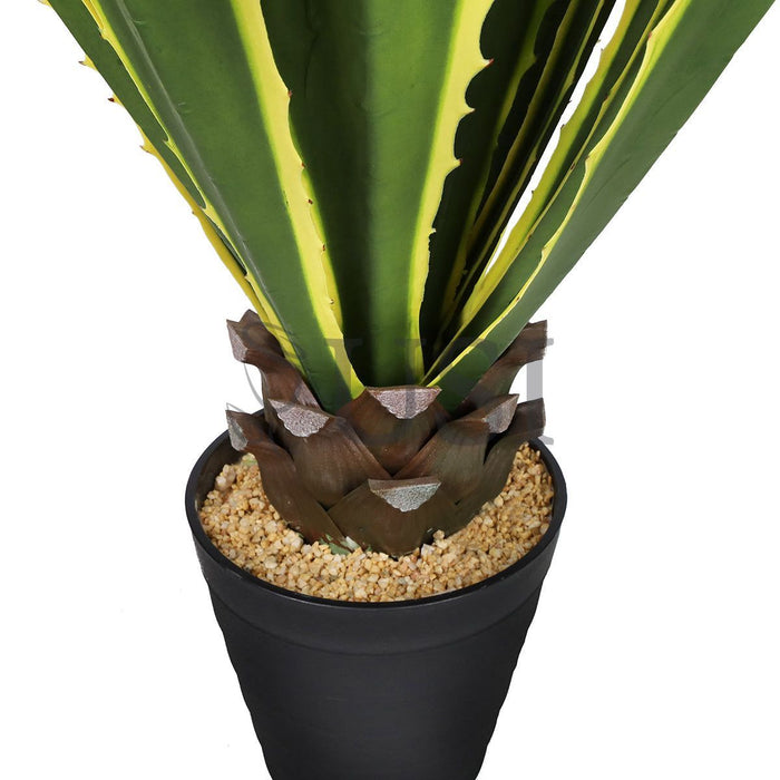Agave Succulent Plant x19 Leaves Potted, 38in, Yellow Green