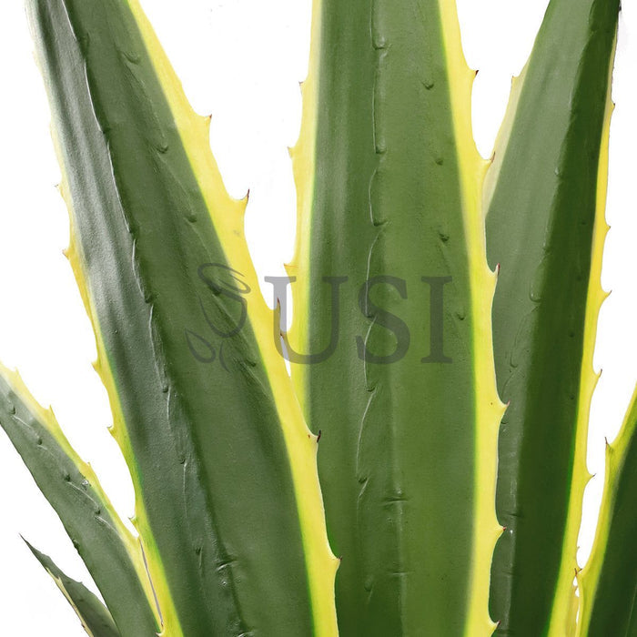 Agave Succulent Plant x19 Leaves Potted, 38in, Yellow Green