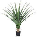 Agave Succulent Plant x36 Leaves Potted, 48in, Green