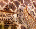 All Comfort - premium canvas