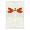 Amber Damsel Dragonfly print on textured handmade paper, featuring orange wings and a black body.