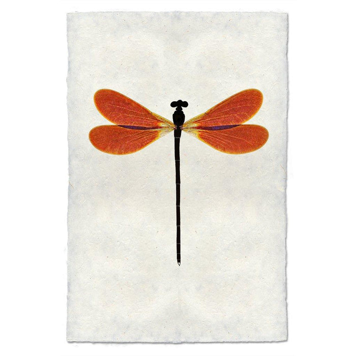 Amber Damsel Dragonfly print on textured handmade paper, featuring orange wings and a black body.