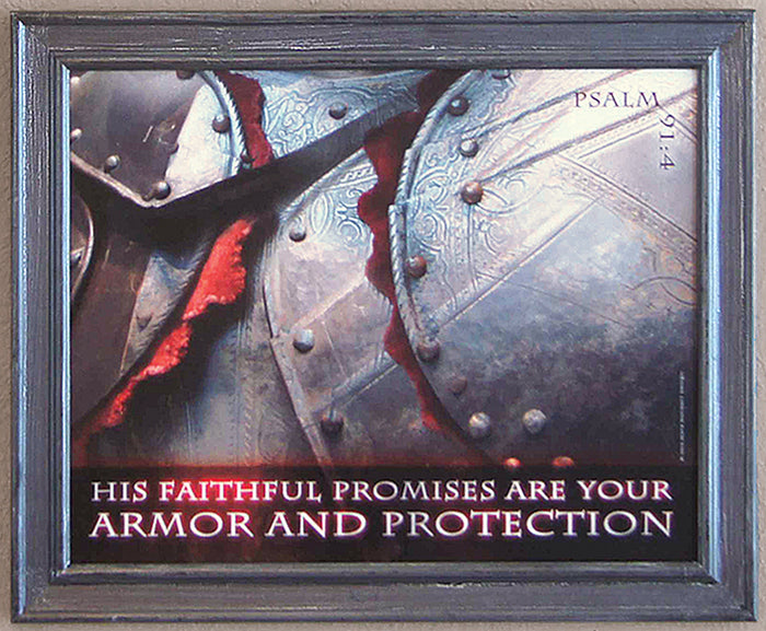 Armor and Protection - framed 11x14