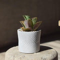 Arrow flower pot silicone mold - madmolds - Arrow flower pot