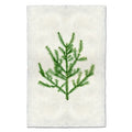 Balsam Fir green branch print on textured, off-white handmade Nepalese paper with deckled edges.