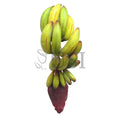 Banana Cluster, 11in, Yellow Green