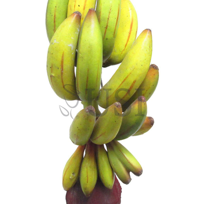 Banana Cluster, 11in, Yellow Green