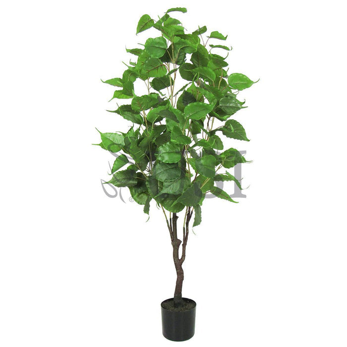 Birch Leaf Tree Potted, 4.5ft, Green