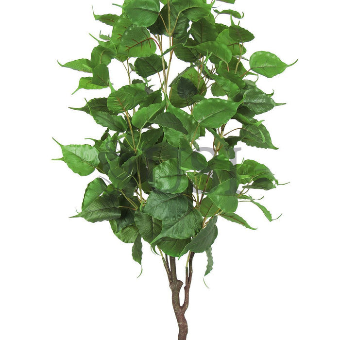 Birch Leaf Tree Potted, 4.5ft, Green