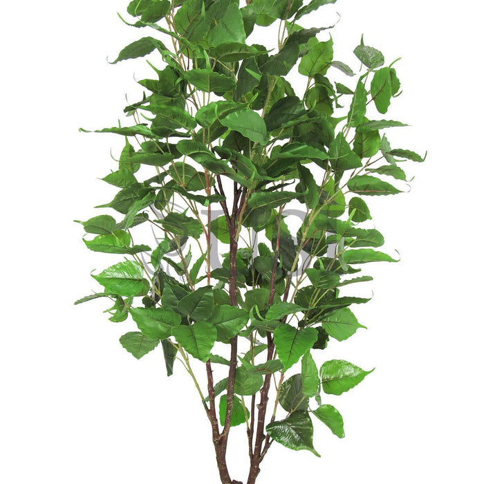 Birch Leaf Tree Potted, 5.5ft, Green