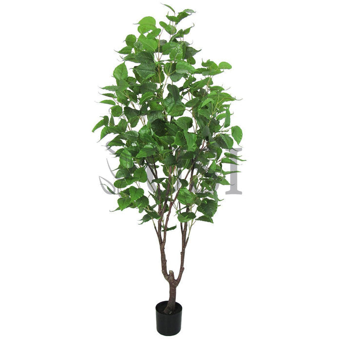 Birch Leaf Tree Potted, 6.5ft, Green