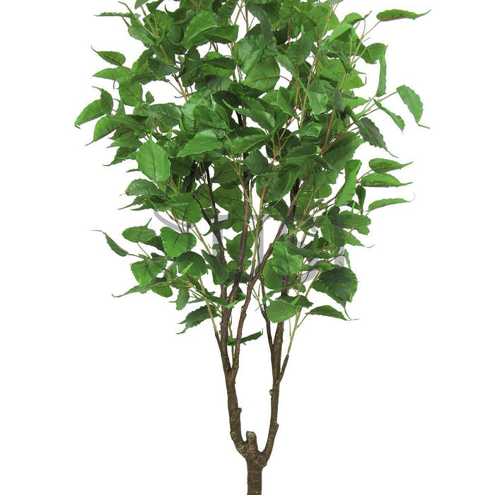 Birch Leaf Tree Potted, 6.5ft, Green