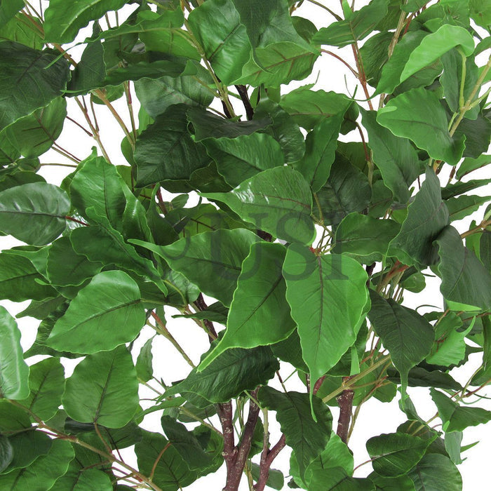 Birch Leaf Tree Potted, 6.5ft, Green