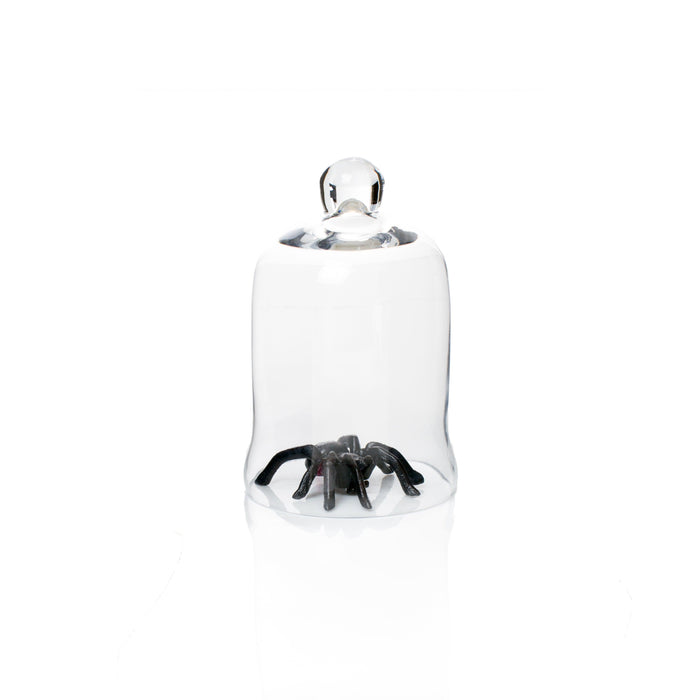 Black cast iron decorative spider under a clear glass cloche.