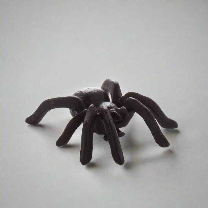 Black cast iron decorative spider, 3"L x 3.5"W, with eight legs and a textured body.