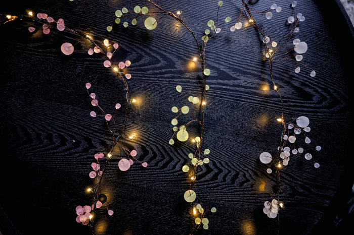 Blossom Fairy Lights - Matte
