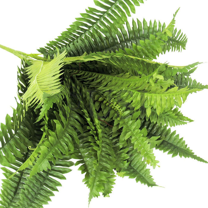 Boston Fern Greenery Bush x36lvs, 20in, Green