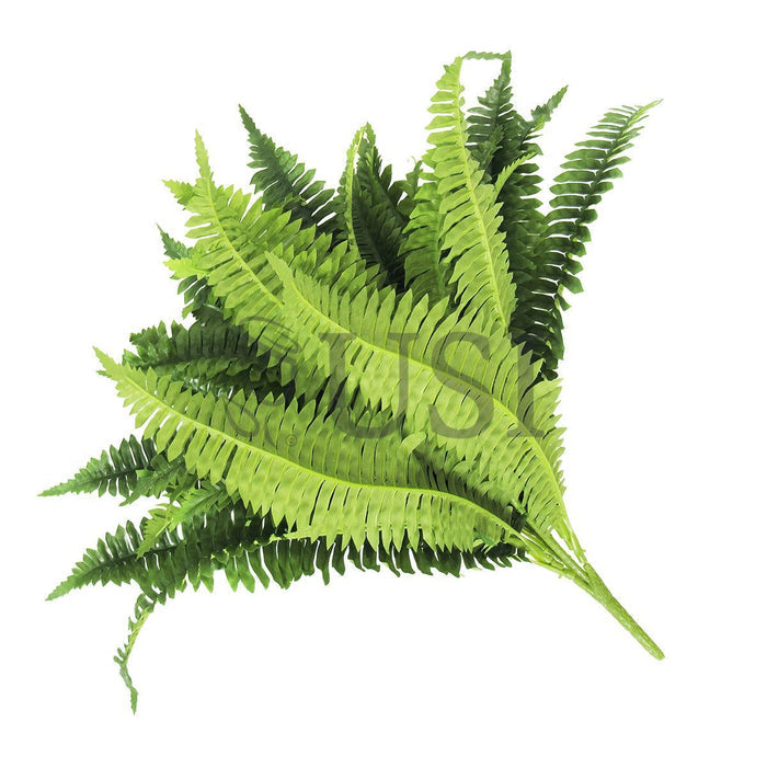 Boston Fern Greenery Bush x36lvs, 20in, Green