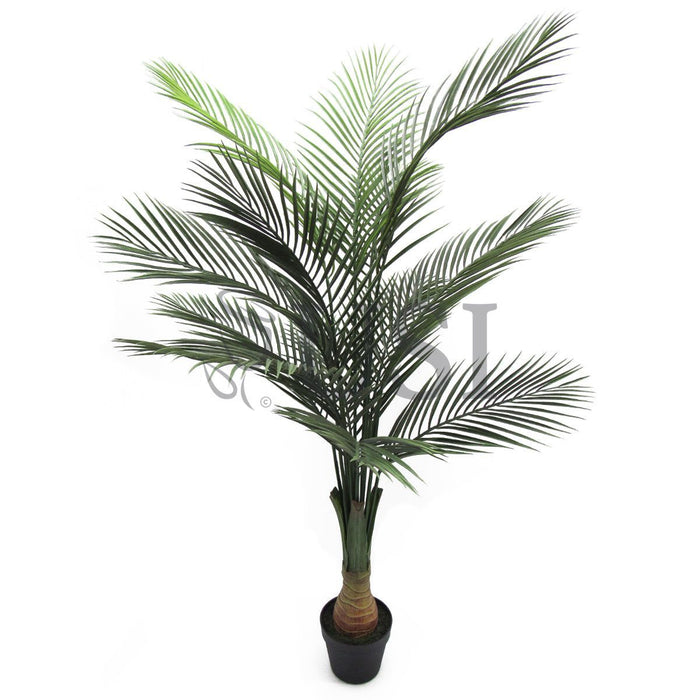 Bottle Palm Tree Potted, 60in, Green