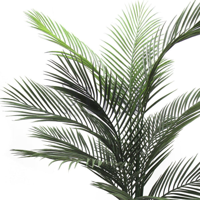 Bottle Palm Tree Potted, 60in, Green