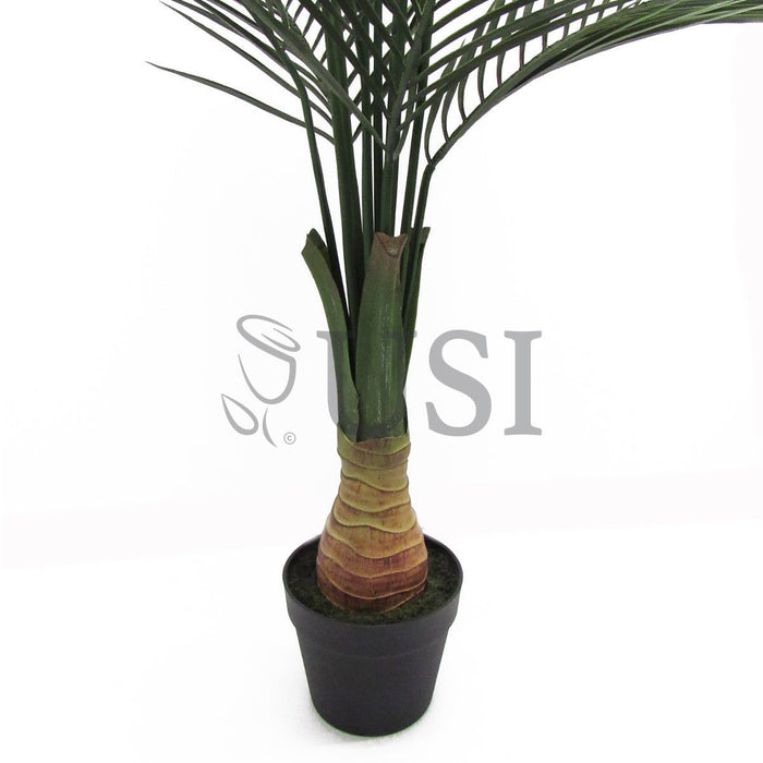 Bottle Palm Tree Potted, 60in, Green