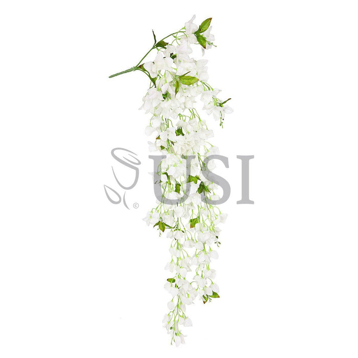 Bougainvillea Hanging Flower Cluster Spray Bush x7, 50in, Cream White