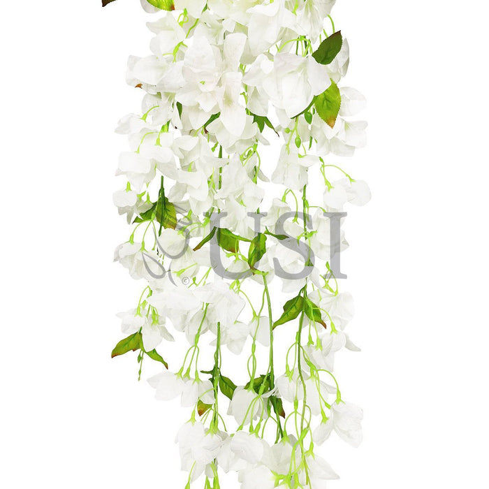 Bougainvillea Hanging Flower Cluster Spray Bush x7, 50in, Cream White