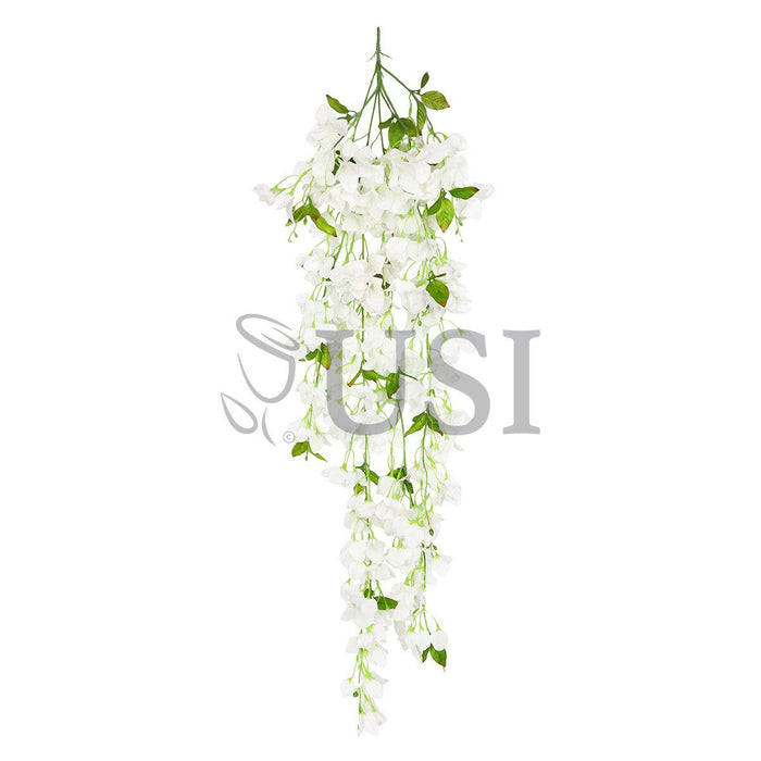 Bougainvillea Hanging Flower Cluster Spray Bush x7, 50in, Cream White