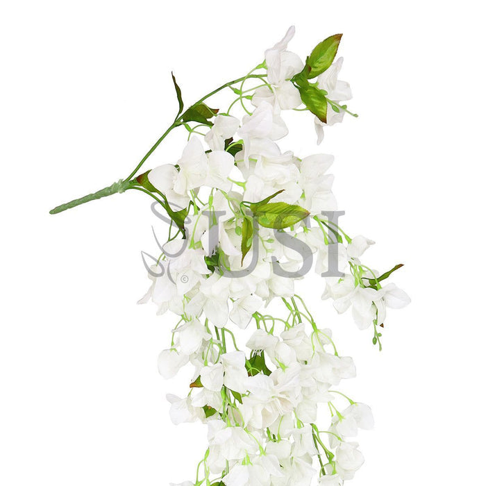 Bougainvillea Hanging Flower Cluster Spray Bush x7, 50in, Cream White