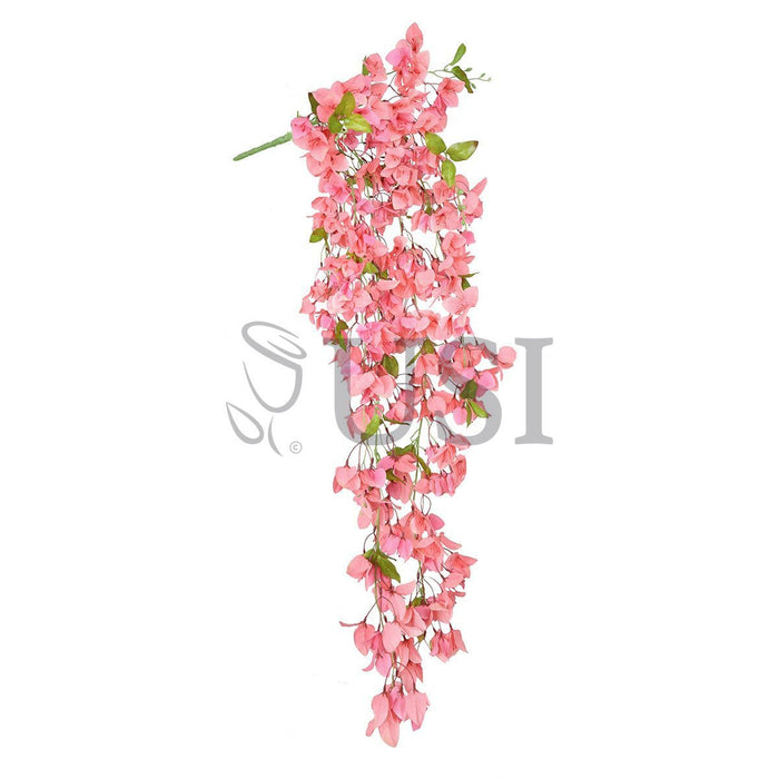 Bougainvillea Hanging Flower Cluster Spray Bush x7, 50in, Peach
