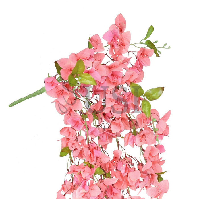 Bougainvillea Hanging Flower Cluster Spray Bush x7, 50in, Peach