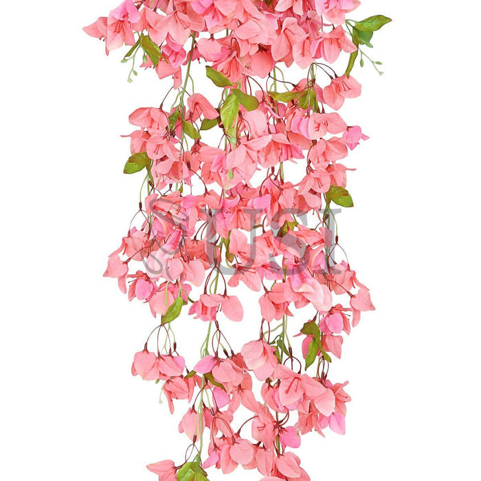 Bougainvillea Hanging Flower Cluster Spray Bush x7, 50in, Peach