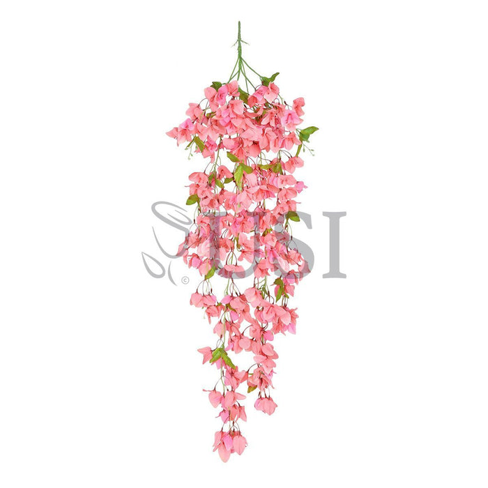 Bougainvillea Hanging Flower Cluster Spray Bush x7, 50in, Peach