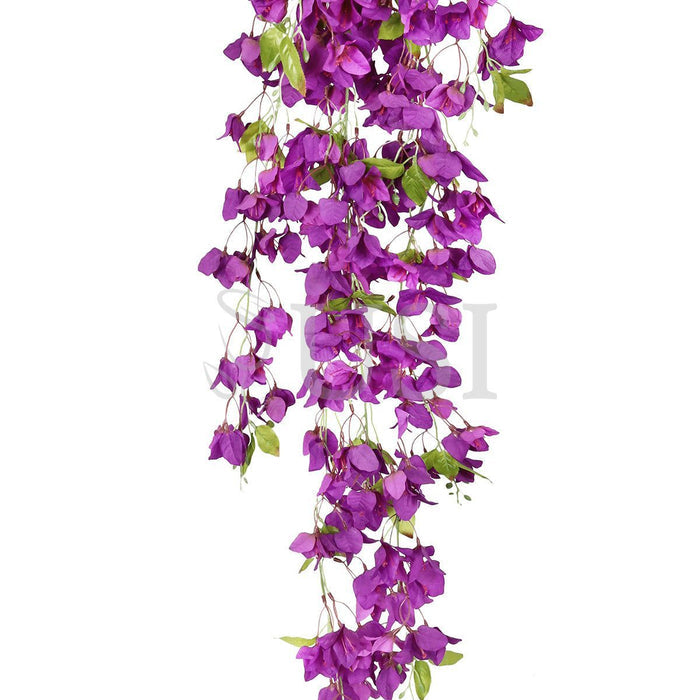 Bougainvillea Hanging Flower Cluster Spray Bush x7, 50in, Purple