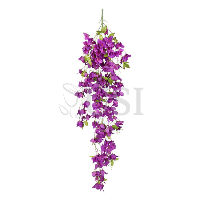 Bougainvillea Hanging Flower Cluster Spray Bush x7, 50in, Purple
