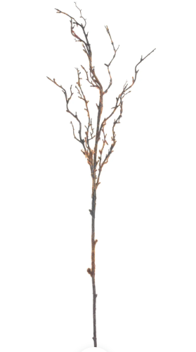 Brown Moss Branch