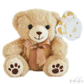 Brown Teddy Bear W/Paws - 20cm - TB120-BR - Kidswholesale.co.uk