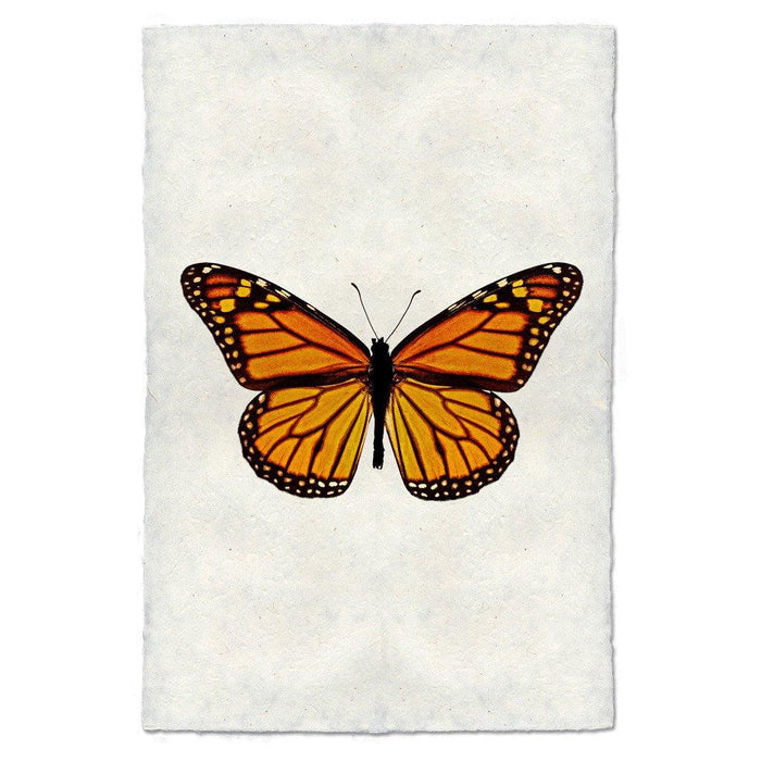 Monarch butterfly print on textured handmade paper, orange and black wings, white background.