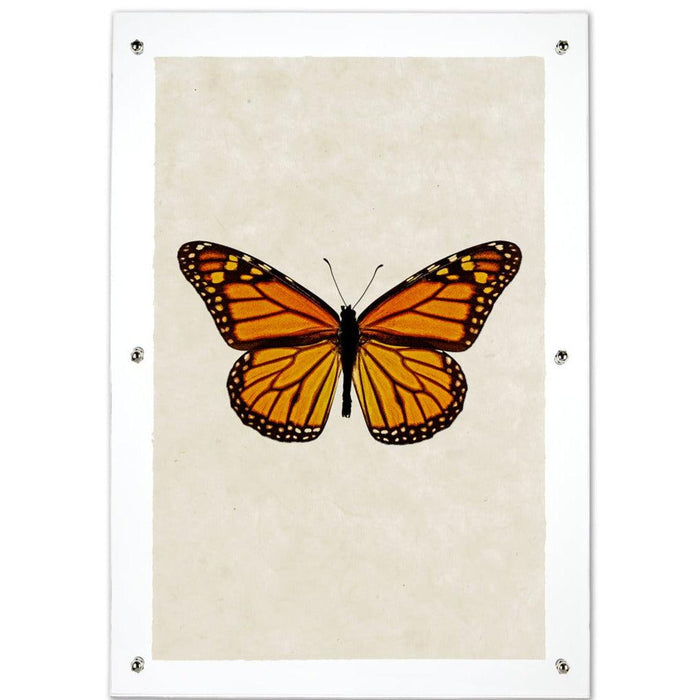 Butterfly #13 wall art print on handmade paper, featuring an orange and black monarch butterfly.