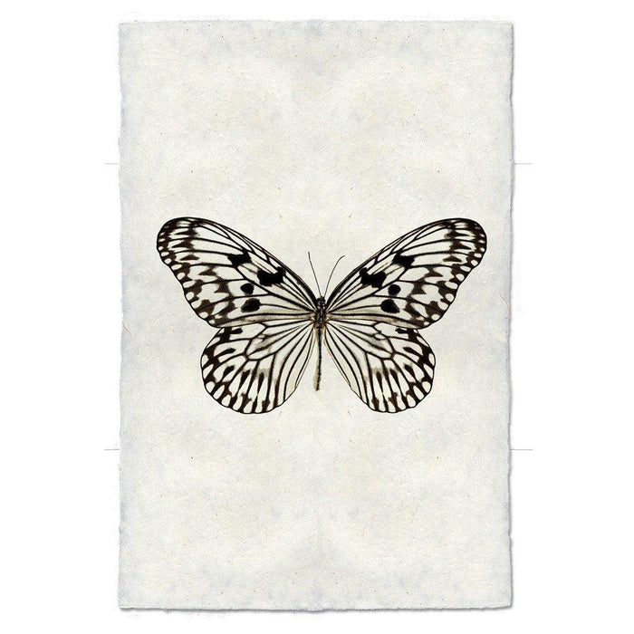 Butterfly #14 handmade paper wall art print, black and white butterfly on textured paper.